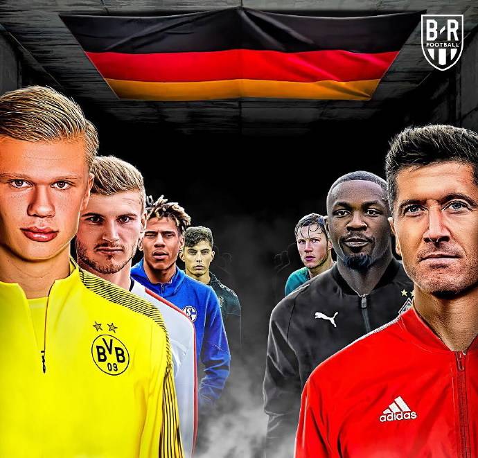 图鉴不仅标 图鉴不仅标